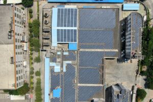future of collective rooftop solar