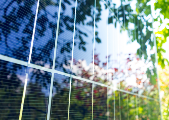 rooftop solar mandatory